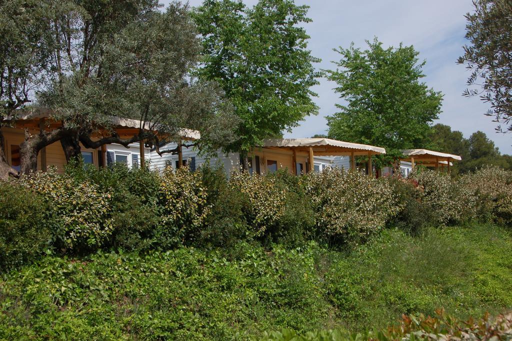 Camping Terra Alta Бот Экстерьер фото