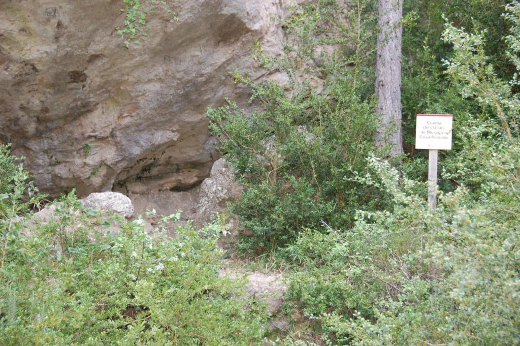 Camping Terra Alta Бот Экстерьер фото